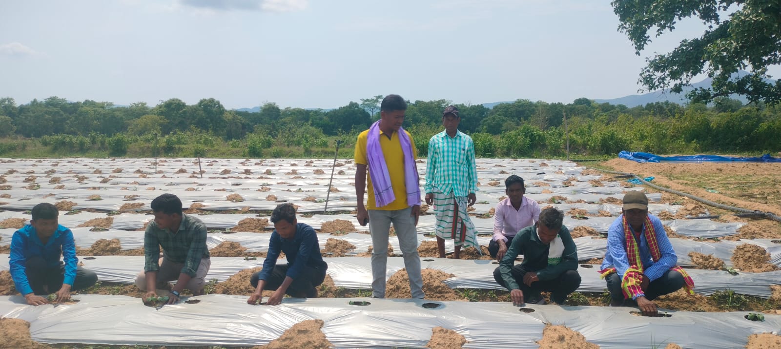 Farmer development project